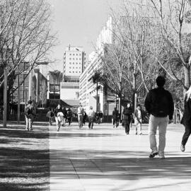 University Mall and Main Walkway
