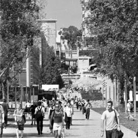 University Mall and Main Walkway