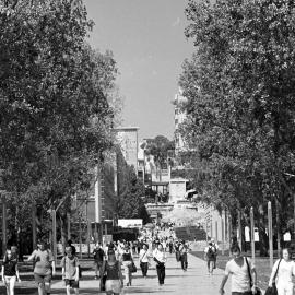 University Mall and Main Walkway