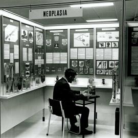 Wallace Wurth School of Medicine Medical Museum