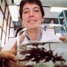 Dr. Diane McDougald - Centre for Marine Biofouling and Bio-Innovation