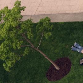 Students on Science Lawn