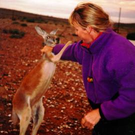 Fowlers Gap (?) - Kangaroo research