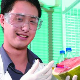 School of Chemical Engineering and Industrial Chemistry - Food Science & Technology