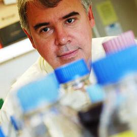 Professor Philip Hogg - Centre for Vascular Research