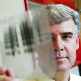 Professor Philip Hogg - Centre for Vascular Research