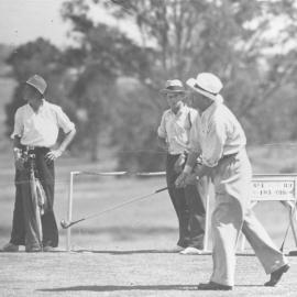 Sir Robert Webster Collection