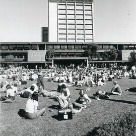 Library Building & Library Lawn