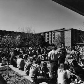 Library Lawn