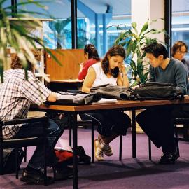 Library - Students studying at desks