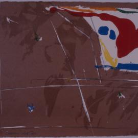 Ivan Dougherty Gallery Exhibition  – Serigraphs