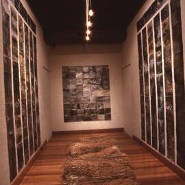 Ivan Dougherty Gallery Exhibition – Blindspot