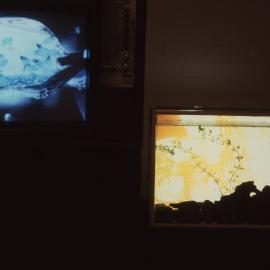 Ivan Dougherty Gallery Exhibition – Telecom Fine Art Scholarships