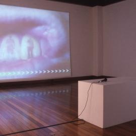 Ivan Dougherty Gallery Exhibition – Compound Eyes