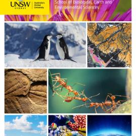 2016 School of Biological, Earth and Environmental Sciences Annual Report
