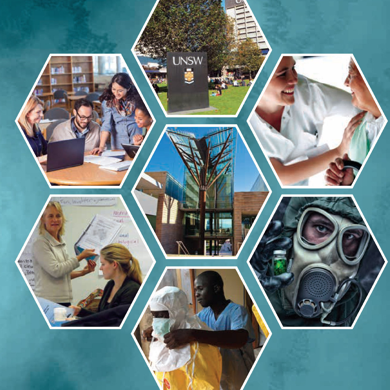 School of Public Health and Community Medicine Biennial Reports