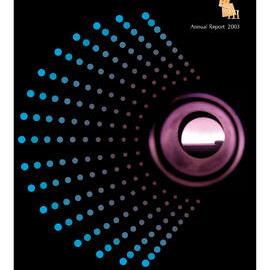 2003 ARC Centre of Excellence for Advanced Silicon Photovoltaics and Photonics Annual Report