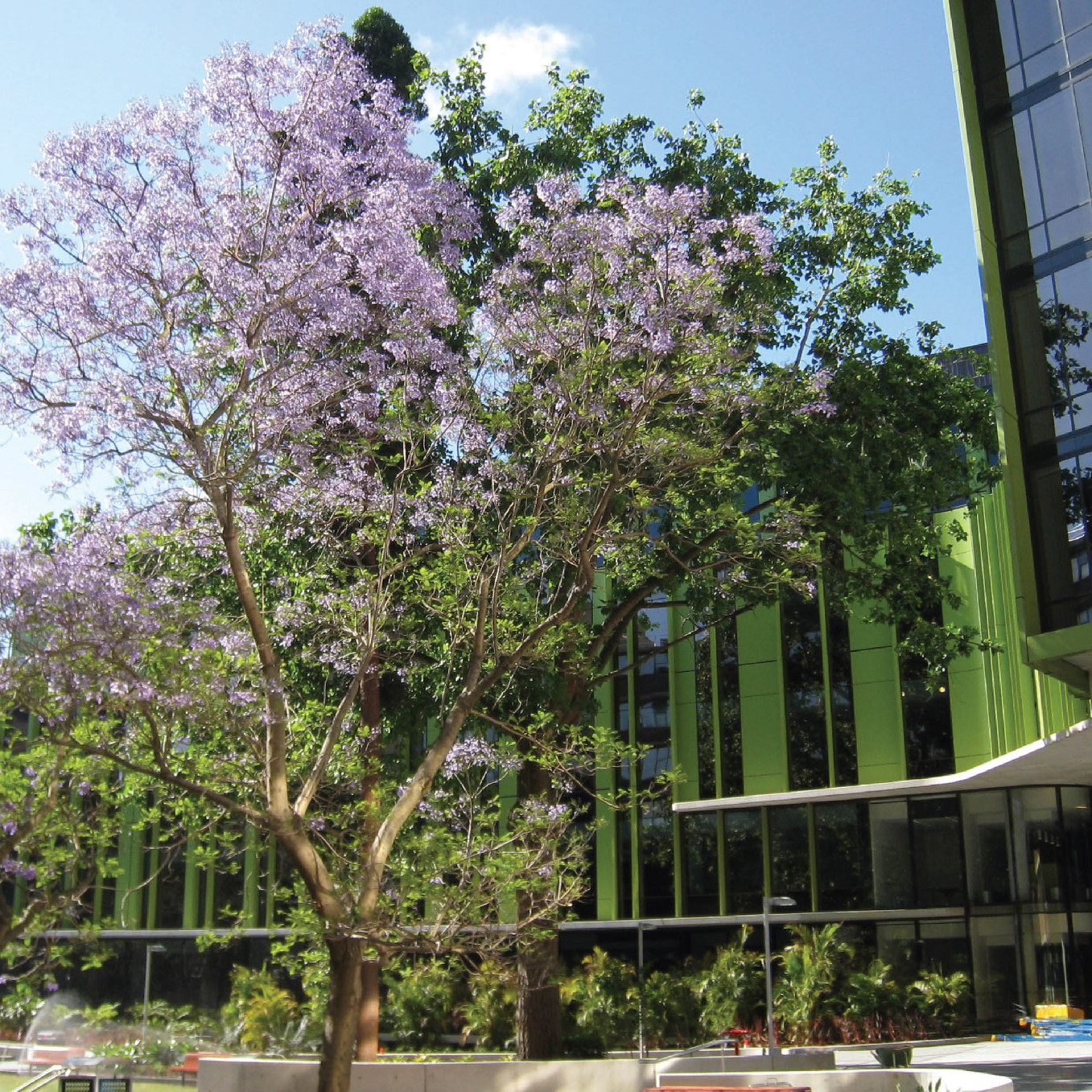 UNSW Calendars
