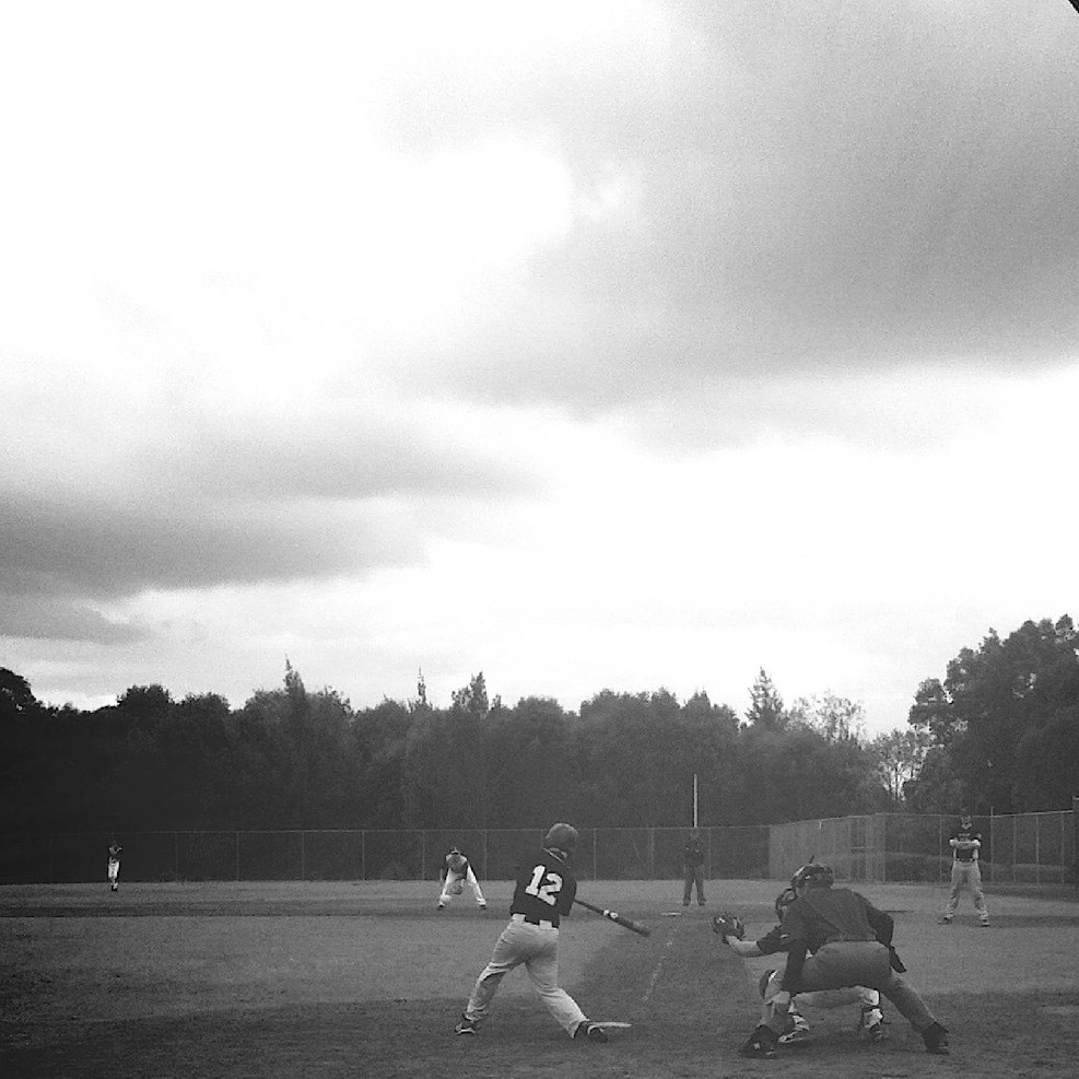 Baseball Softball Club Annual Reports