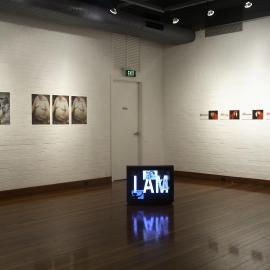  Ivan Dougherty Gallery Exhibition - From the Edge