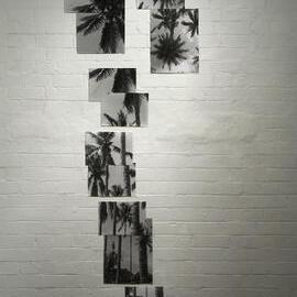  Ivan Dougherty Gallery Exhibition - From the Edge