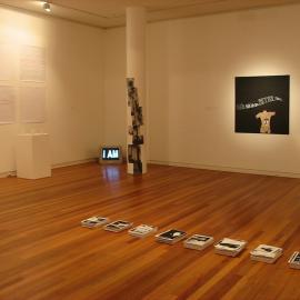  Ivan Dougherty Gallery Exhibition - From the Edge
