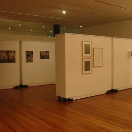 Ivan Dougherty Gallery Exhibition - From the Edge