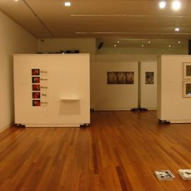  Ivan Dougherty Gallery Exhibition - From the Edge