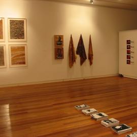  Ivan Dougherty Gallery Exhibition - From the Edge