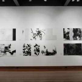  Ivan Dougherty Gallery Exhibition - Chinese Whispers