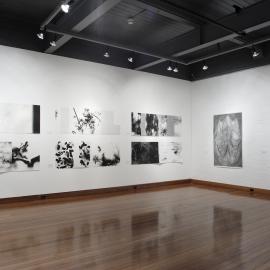  Ivan Dougherty Gallery Exhibition - Chinese Whispers