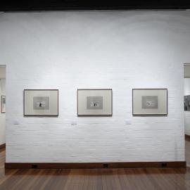  Ivan Dougherty Gallery Exhibition - Chinese Whispers