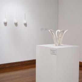  Ivan Dougherty Gallery Exhibition - Integration