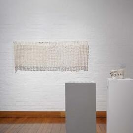  Ivan Dougherty Gallery Exhibition - Integration