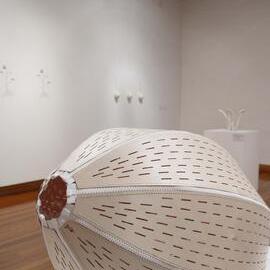  Ivan Dougherty Gallery Exhibition - Integration