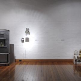  Ivan Dougherty Gallery Exhibition - Intimacy
