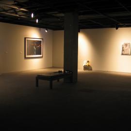  Ivan Dougherty Gallery Exhibition - Intimacy