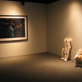  Ivan Dougherty Gallery Exhibition - Intimacy