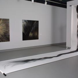  Ivan Dougherty Gallery Exhibition - Liberation Feet: Contemporary Chinese Drawing