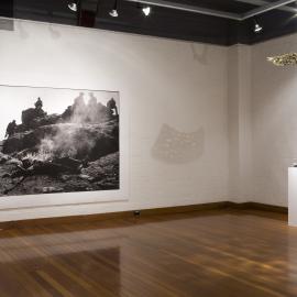  Ivan Dougherty Gallery Exhibition - Bushwhacked