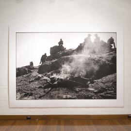  Ivan Dougherty Gallery Exhibition - Bushwhacked