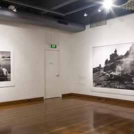  Ivan Dougherty Gallery Exhibition - Bushwhacked