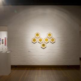  Ivan Dougherty Gallery Exhibition - Bushwhacked