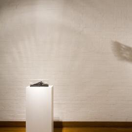  Ivan Dougherty Gallery Exhibition - Bushwhacked