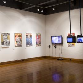  Ivan Dougherty Gallery Exhibition - Bushwhacked