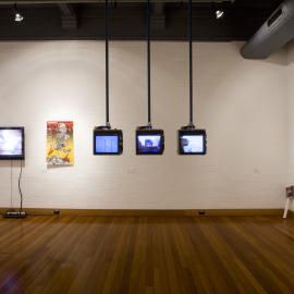  Ivan Dougherty Gallery Exhibition - Bushwhacked