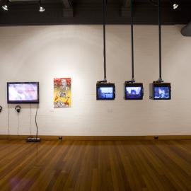  Ivan Dougherty Gallery Exhibition - Bushwhacked