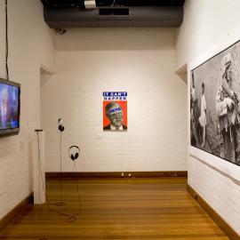  Ivan Dougherty Gallery Exhibition - Bushwhacked