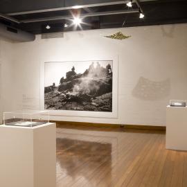  Ivan Dougherty Gallery Exhibition - Bushwhacked