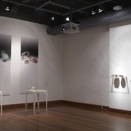  Ivan Dougherty Gallery Exhibition -  Another Silk Road